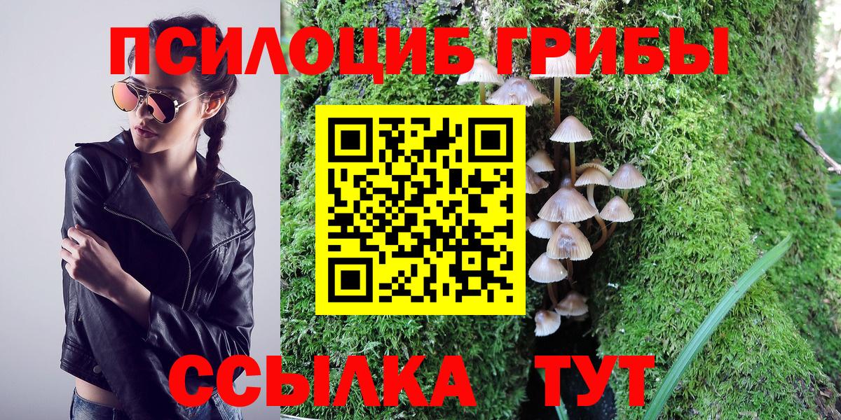 Кизляр  Псилоцибиновые грибы Cubensis  Вход с VPN  Галлюциногенные грибы GOLDEN TEACHER 
