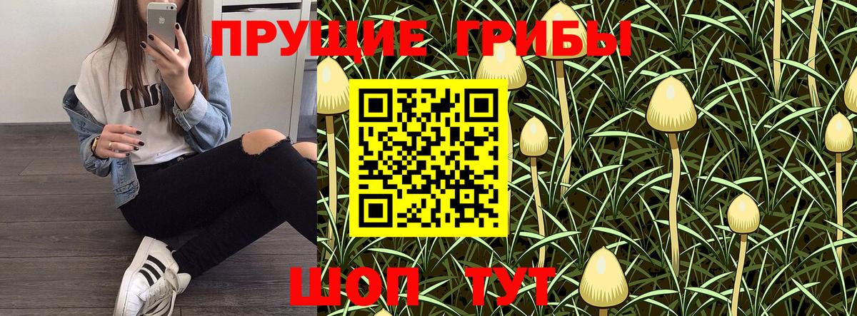 Галлюциногенные грибы GOLDEN TEACHER Кизляр